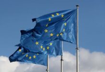 Le violazioni della Commissione Europea nell'uso di Microsoft 365