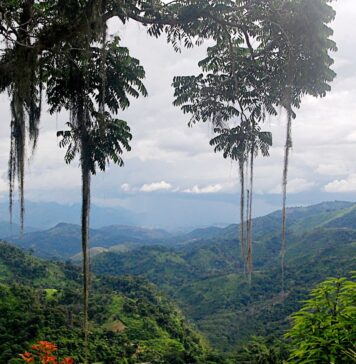 La bellezza naturale del Nicaragua e la sua salvaguardia riguarda tutti noi