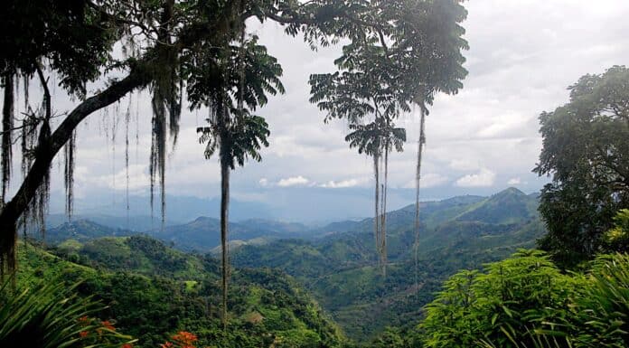 La bellezza naturale del Nicaragua e la sua salvaguardia riguarda tutti noi