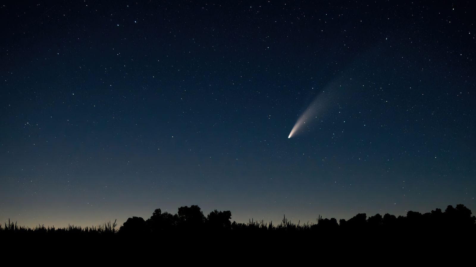 Ecco perché la Cometa di Halley provocò un’isteria di massa
