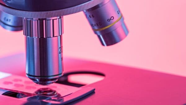 Mondo scientifico cambia radicalmente per due materiali