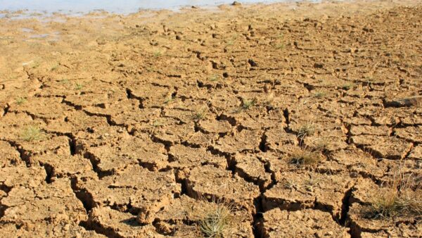 Death Valley: il lago Manly sta per scomparire per sempre