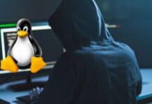 Pericolo per gli utenti Linux per continui cyberattacchi