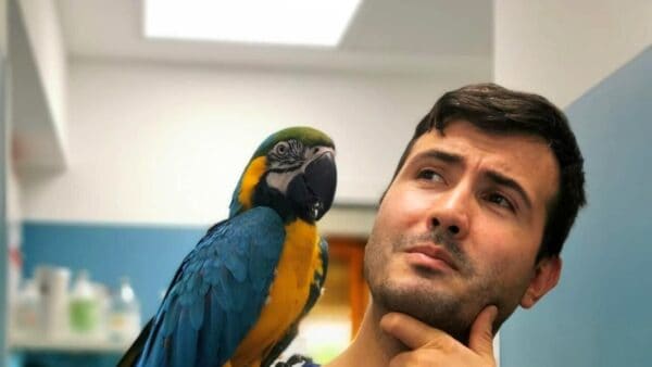 marco petrini doctor pet