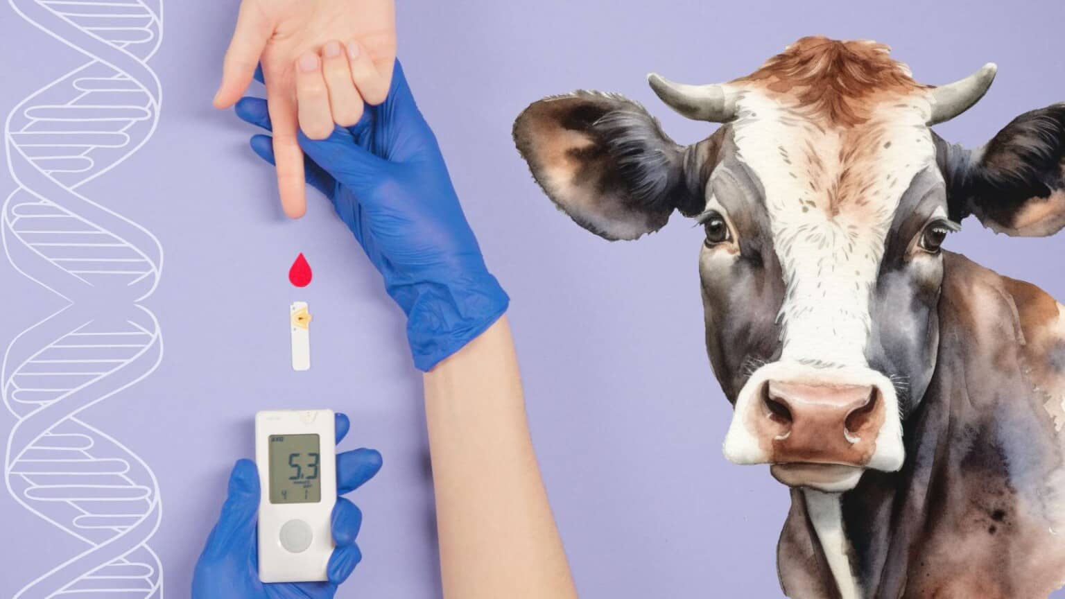 Una dieta innovativa per la cura del diabete a base di.. Latte geneticamente modificato