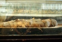 Le mummie italiane, meno note di quelle egiziane, hanno comunque una storia tutta da raccontare