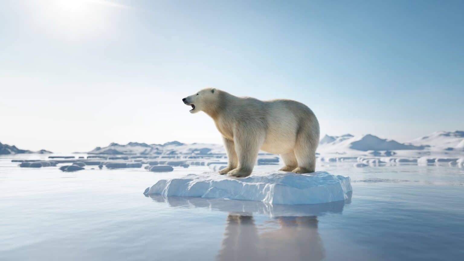 Le azioni urgenti necessarie per affrontare il cambiamento climatico