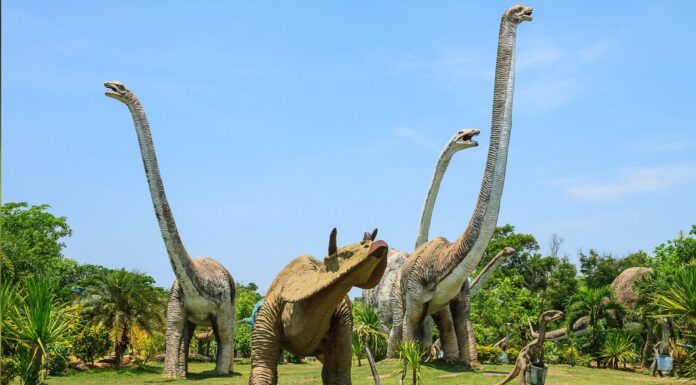 Nuova polemica: i nomi dei dinosauri sono sessisti e razzisti