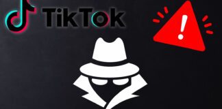 TikTok e i social Network: una vetrina insospettabile per le mafie