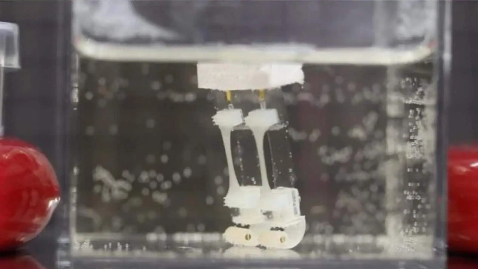 Galleggiare e camminare, le dualità del robot bioibrido giapponese