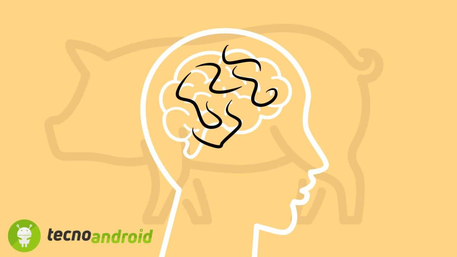 Le uova di tenia possono trasformarsi in parassiti attivi nel corpo umano, causando danni e sintomi gravi come emicranie e altri disturbi neurologici.