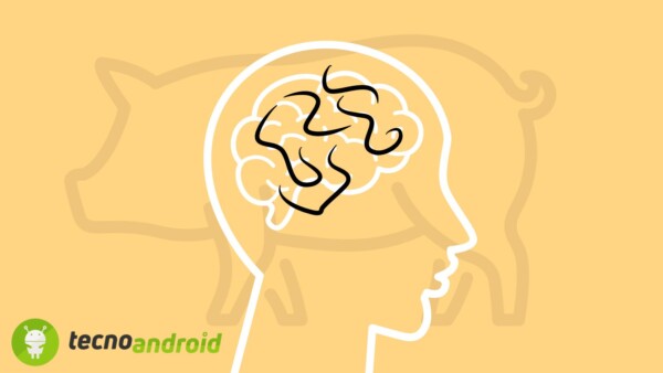 Le uova di tenia possono trasformarsi in parassiti attivi nel corpo umano, causando danni e sintomi gravi come emicranie e altri disturbi neurologici.