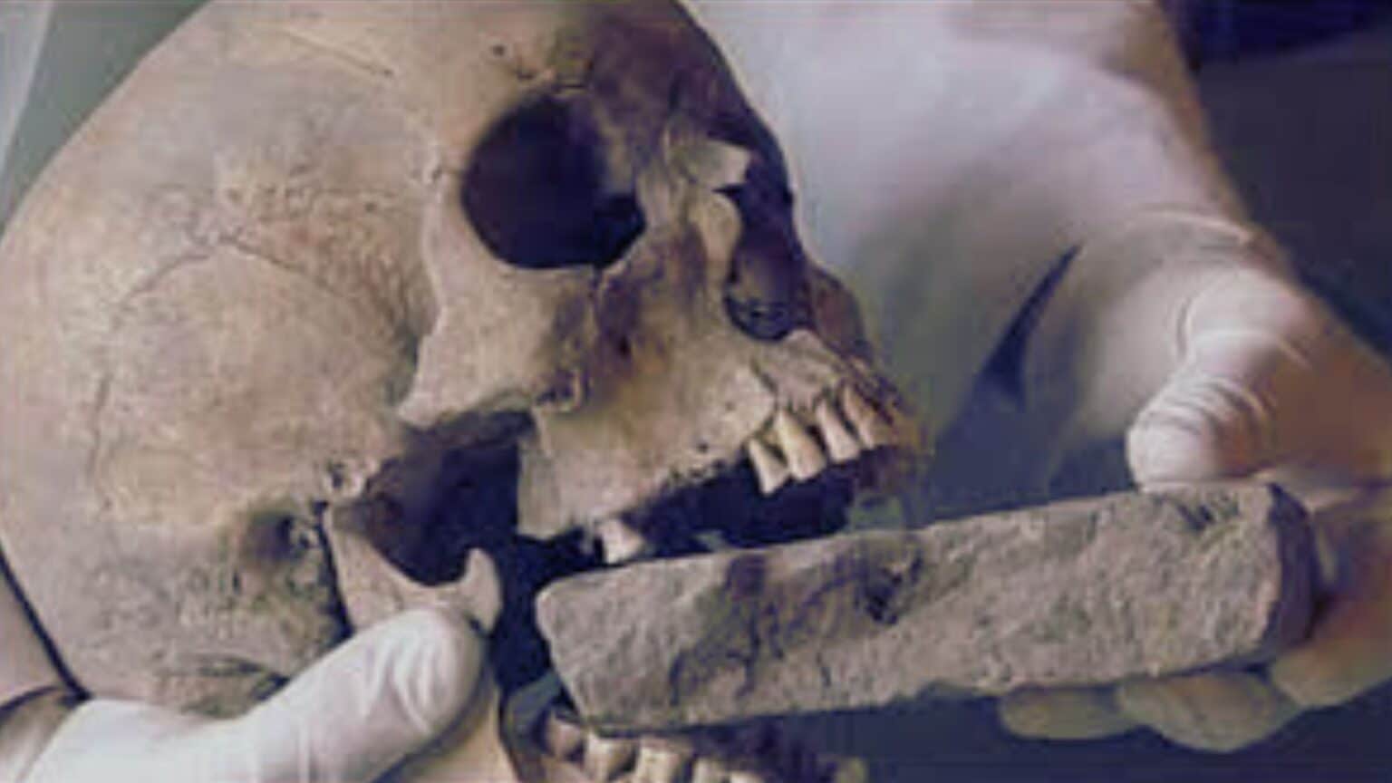 La terrificante storia del Nachzehrer nel Lazzaretto di Venezia