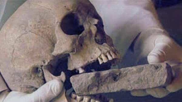 La terrificante storia del Nachzehrer nel Lazzaretto di Venezia