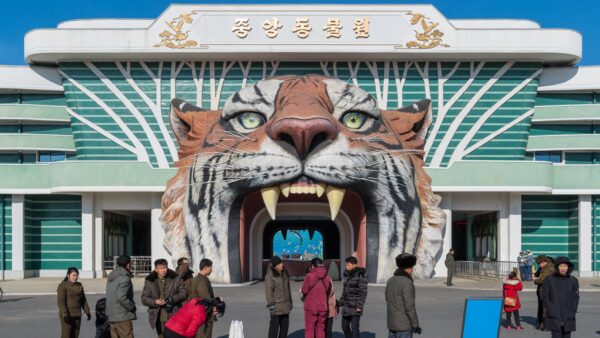 Azalea, la scimmia che fuma da sola, è la star indiscussa dello zoo di Pyongyang