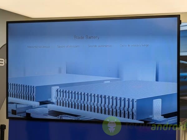 byd - immagine 15 byd - immagine 15