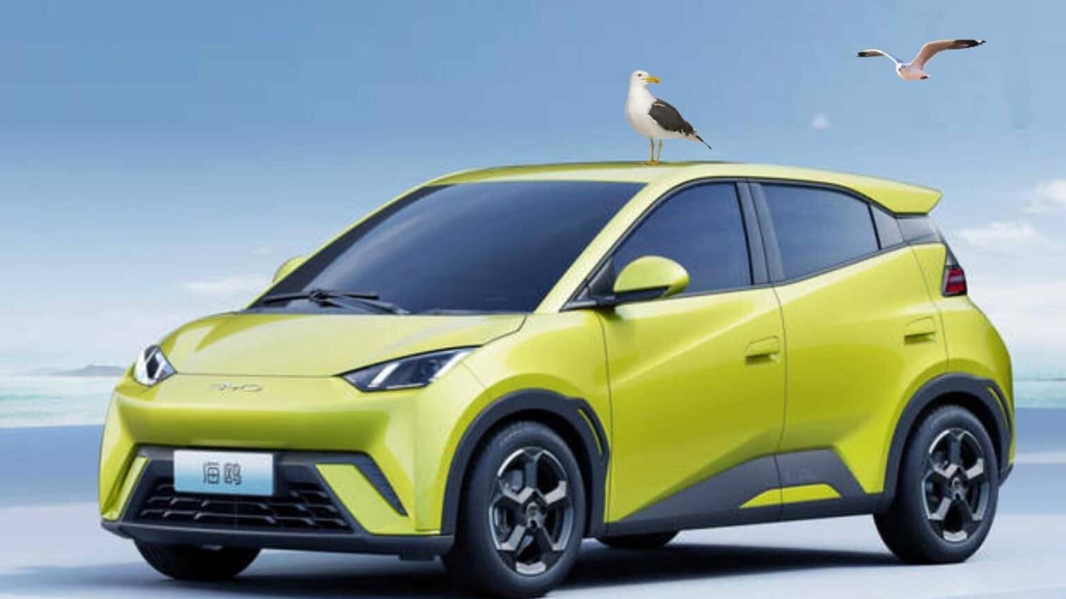 BYD Seagull: l'auto elettrica economica sta per debuttare in Europa