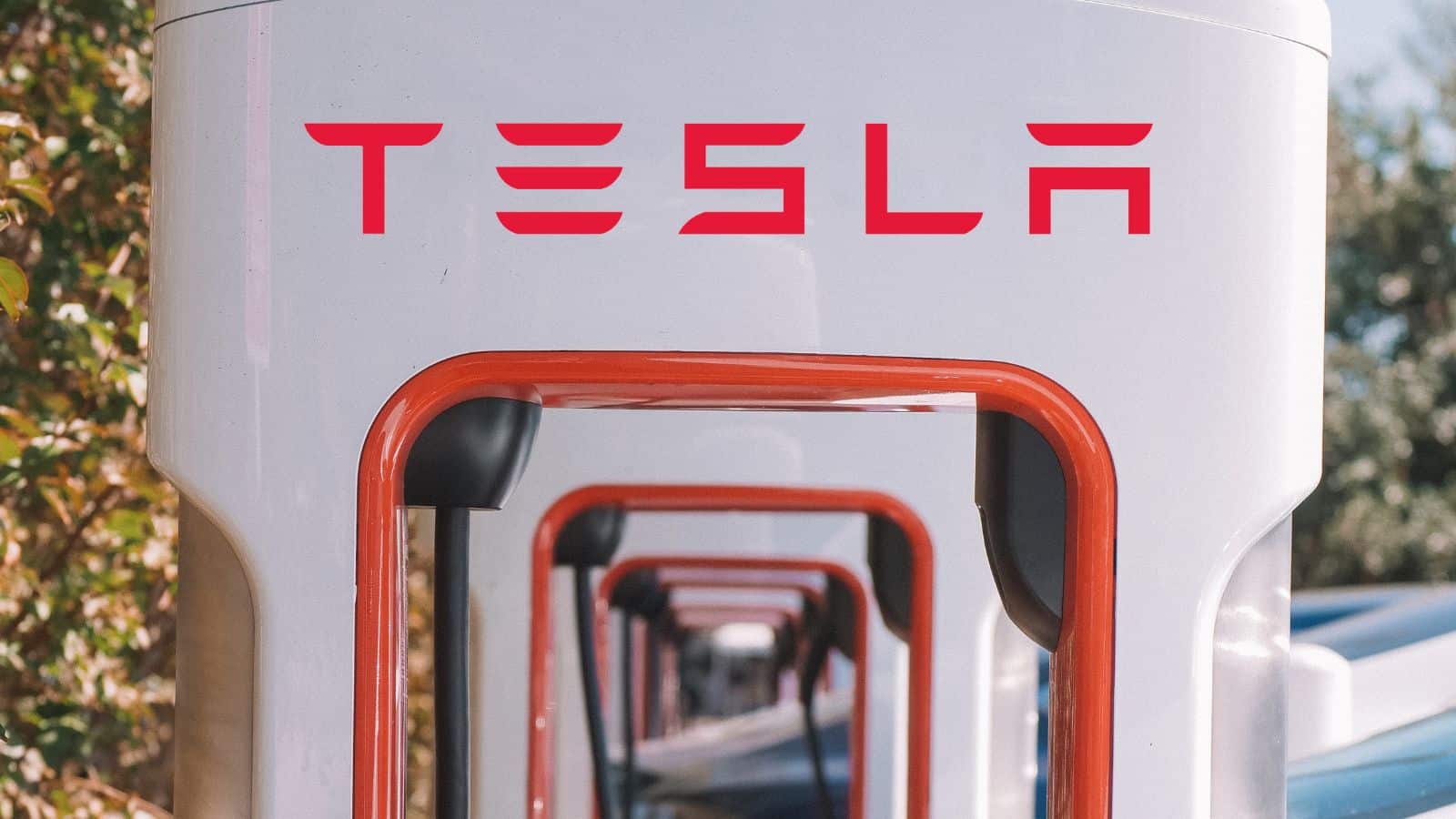 USA: cala il costo della Tesla Model Y, cosa succede in Italia? 