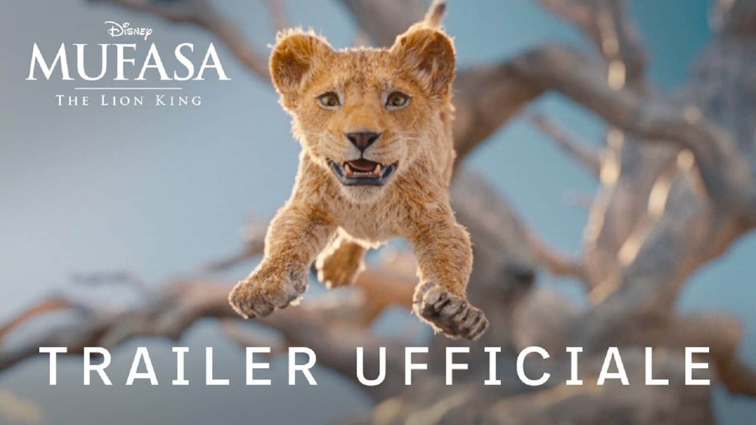 Mufasa, re, leone, disney, film, cinema