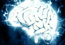 Intel, creato un cervello artificiale chiamato Hala Point Intel, cervello artificiale