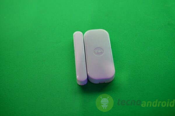 yale - immagine 30 yale - immagine 30