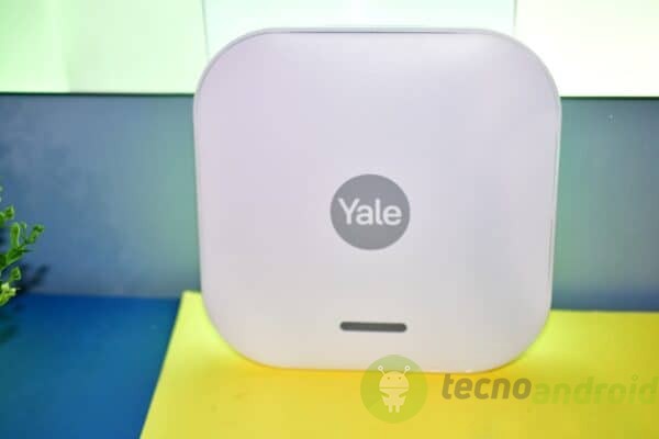 yale - immagine 25 yale - immagine 25