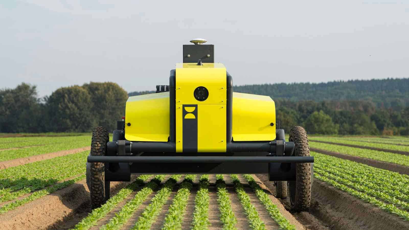 Il robot AX-1 di Kilter porta l'intelligenza artificiale fino al campo agricolo