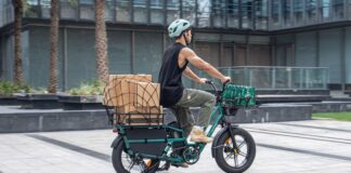 Fiido T2 Longtail Cargo E-Bike: bici da carico elettrica dalla lunga autonomia