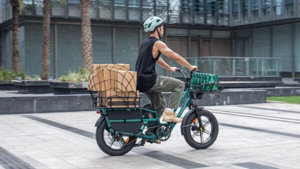 Fiido T2 Longtail Cargo E-Bike: bici da carico elettrica dalla lunga autonomia