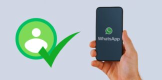 Su WhatsApp ora sarà più semplice ricordare l'identità dei contatti