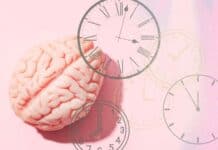 Forse quella dell'orologio interno al cervello umano è solo una falsa credenza