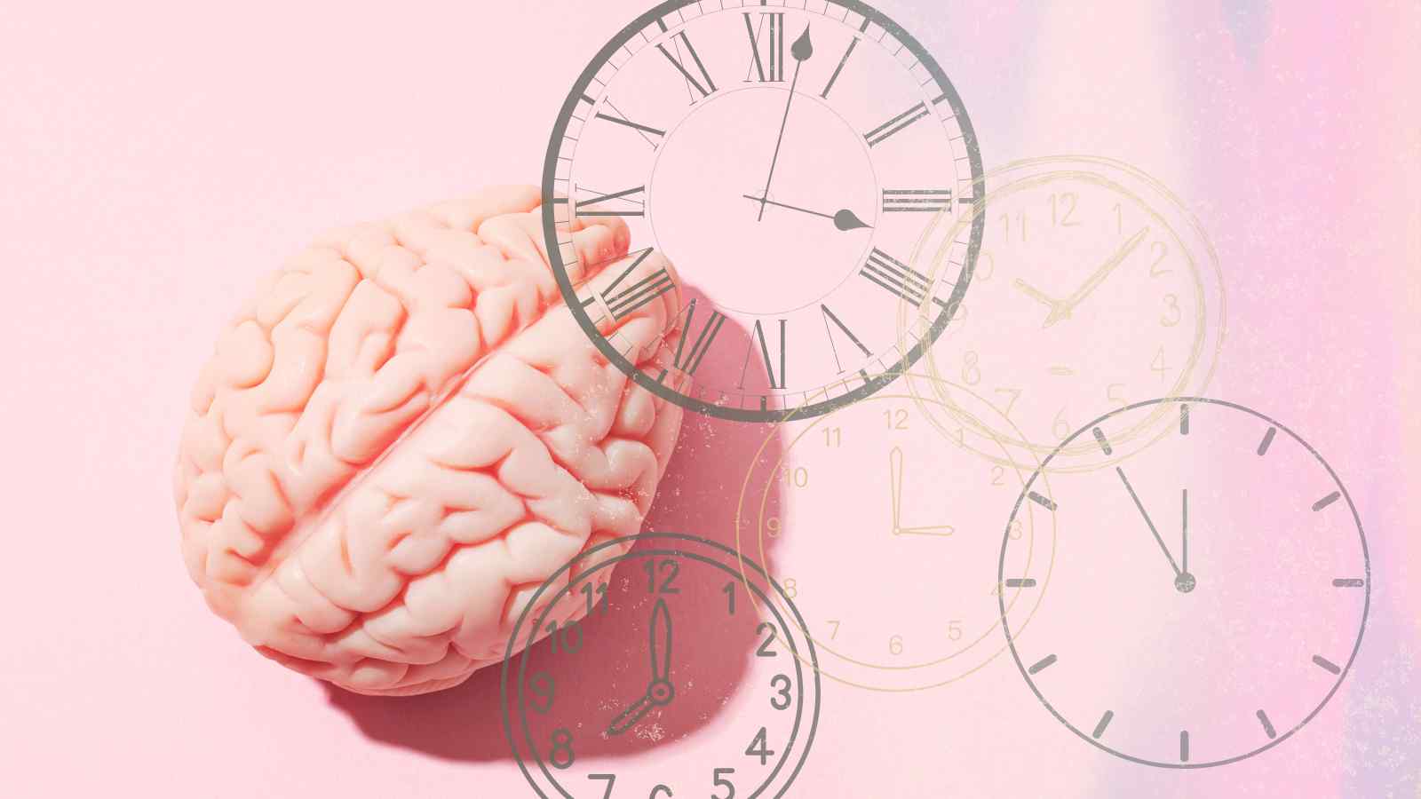 Secondo recenti studi quella dell'orologio interno al cervello umano è solo una falsa credenza