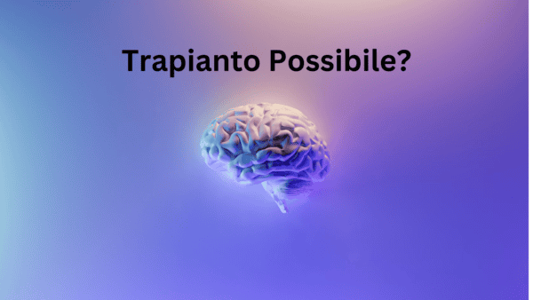 Trapianto cervello