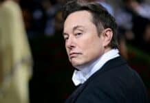 Intelligenza artificiale, Elon Musk è sicuro: ci ruberà il lavoro
