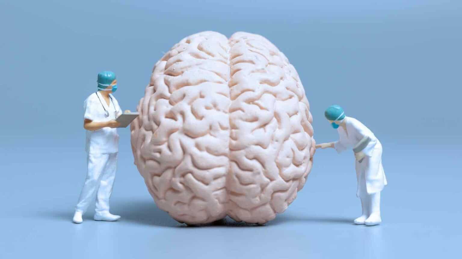 Google e Harvard uniti nella mappatura del cervello umano grazie all'aiuto dell'intelligenza artificiale