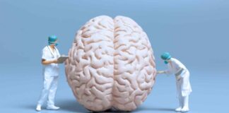 Google e Harvard uniti nella mappatura del cervello umano grazie all'aiuto dell'intelligenza artificiale