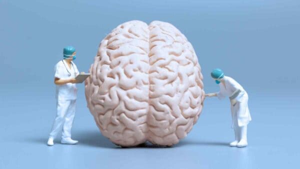 Google e Harvard uniti nella mappatura del cervello umano grazie all'aiuto dell'intelligenza artificiale