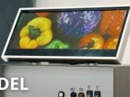 QDEL: una tecnologia ancora più avanzata dell'OLED per i display