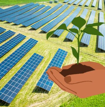 Decreto agricoltura e fotovoltaico: raggiunto accordo per la tutela del territorio