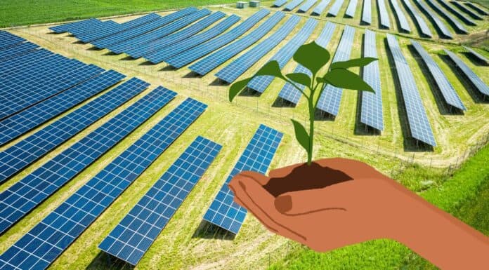 Decreto agricoltura e fotovoltaico: raggiunto accordo per la tutela del territorio