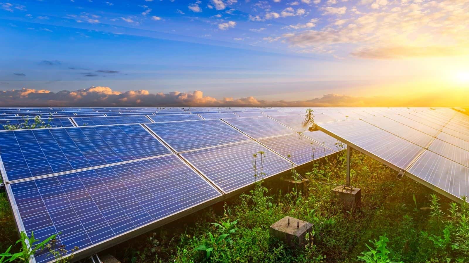Fotovoltaico: come funziona lo scambio sul posto e il rimborso in bolletta