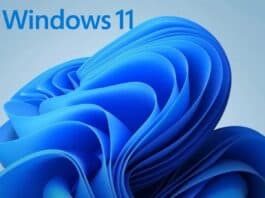 Windows 11: in arrivo un'interessante novità nel settore dell'AI