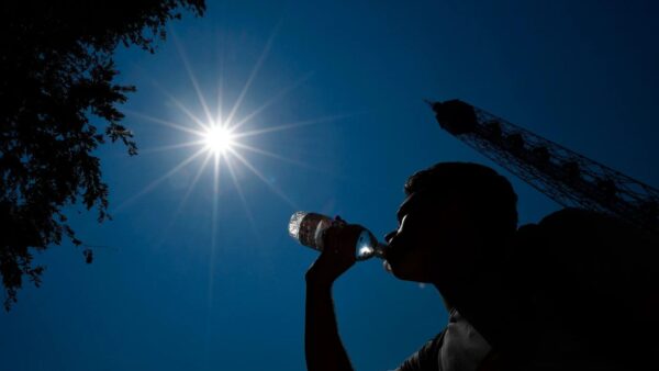 Caldo sta sterminando degli animali molto importanti