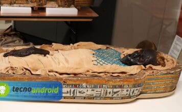 La terrificante storia dietro la morte della mummia di Belfast