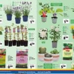 lidl - immagine 12 LIDL OFFERTA SHOCK