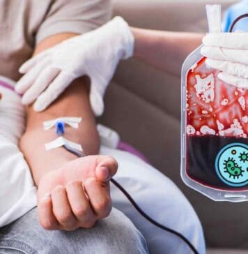 Le trasfusioni di sangue stanno per avere una rivoluzione inaspettata grazie ai batteri intestinali