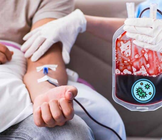 Le trasfusioni di sangue stanno per avere una rivoluzione inaspettata grazie ai batteri intestinali