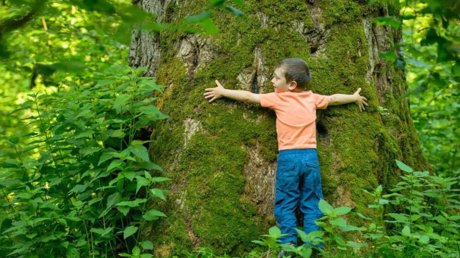 Ripristino della natura: dopo la legge, il MASE stila il Piano nazionale