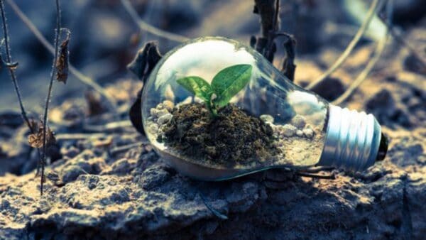 Giornata Mondiale contro la desertificazione e la siccità: ecco l'appello