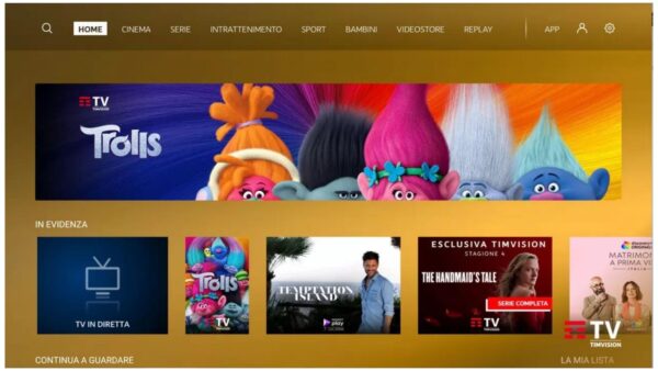 TimVision